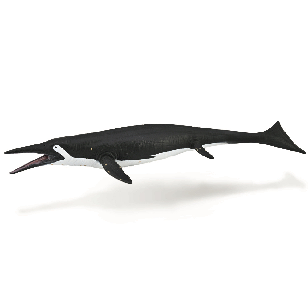 Shastasaurus