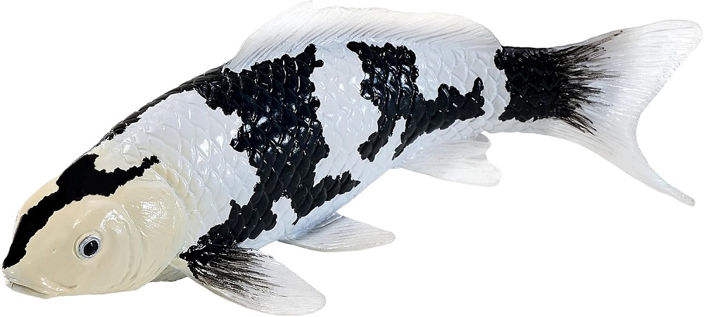 Shiro Utsuri Koi Carp