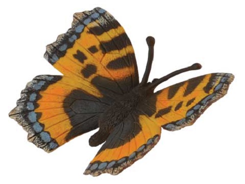 Small Tortoise Shell Butterfly