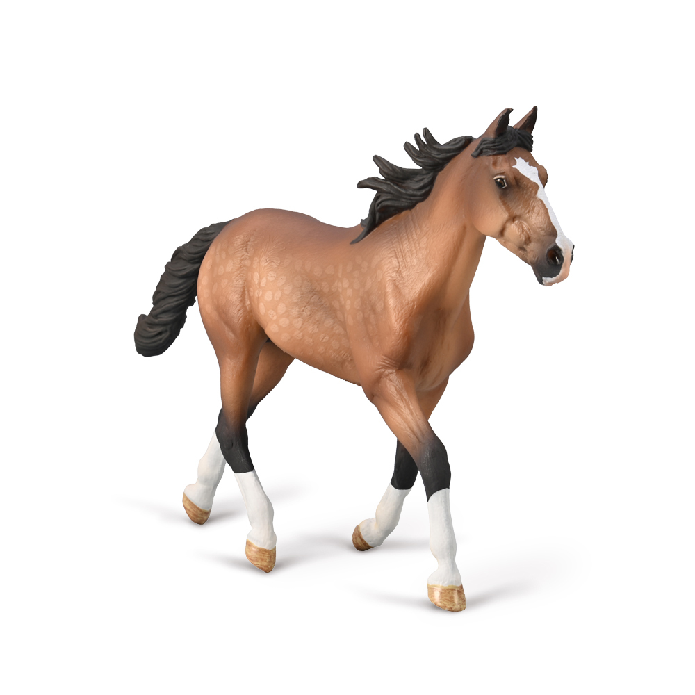 Standard Bred Pacer Stallion Bay
