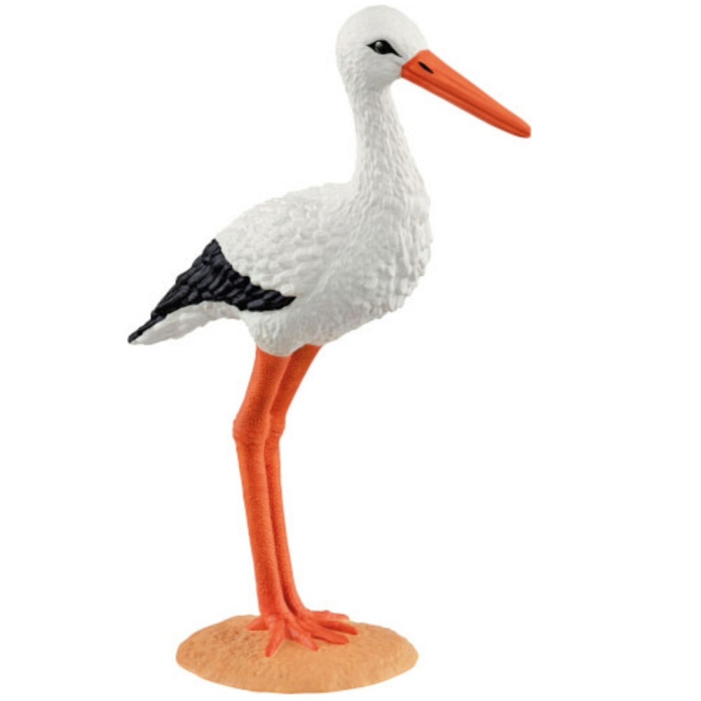 Stork