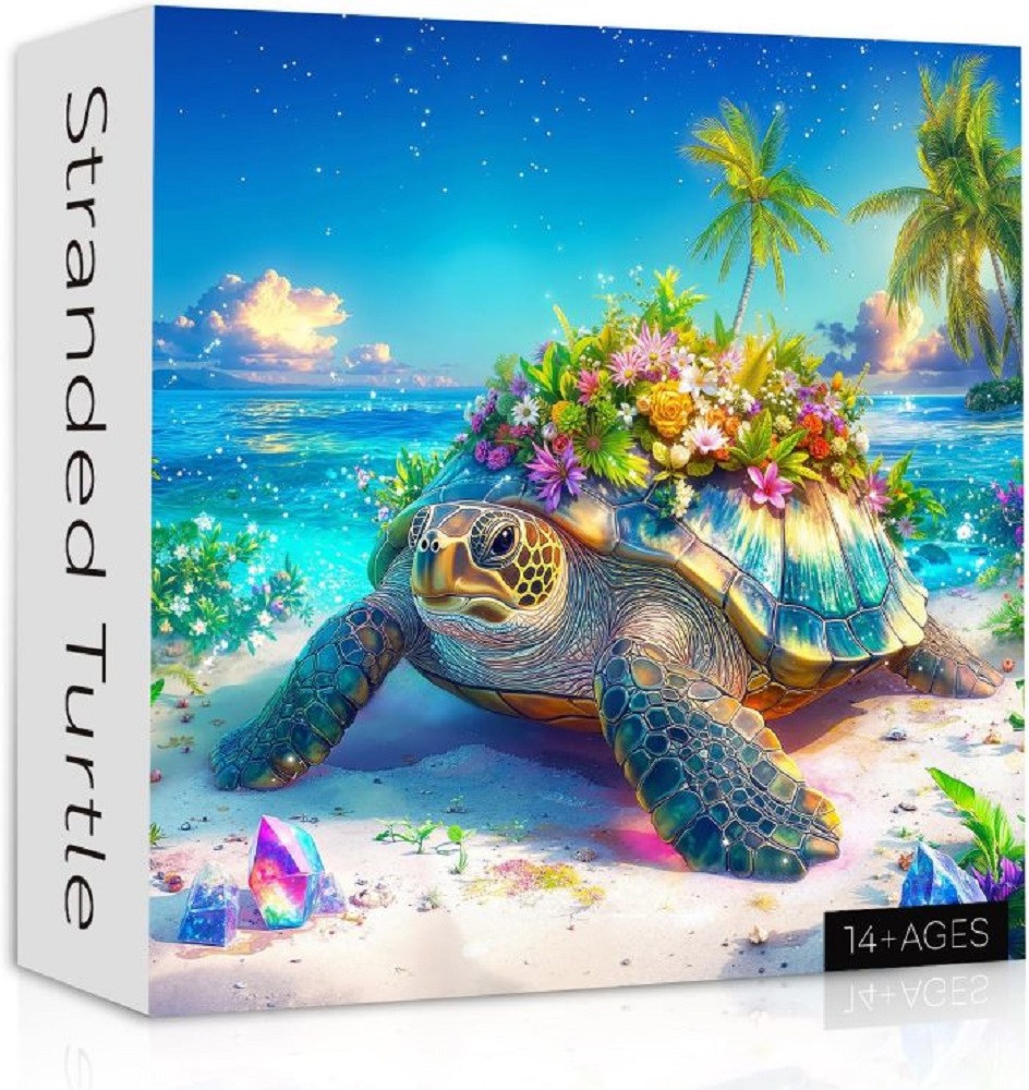 Stranded Turtle