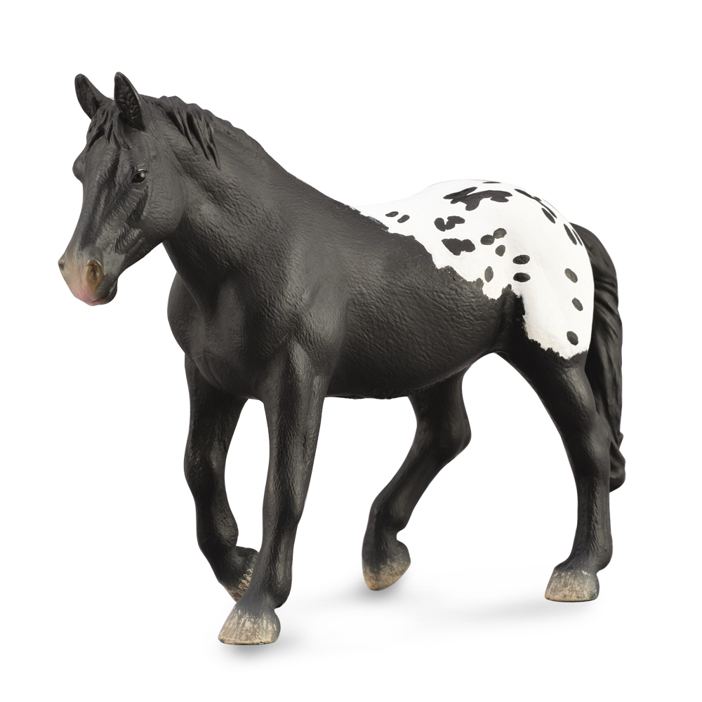 Sugarbush Draft Mare Black Blanket With Spots