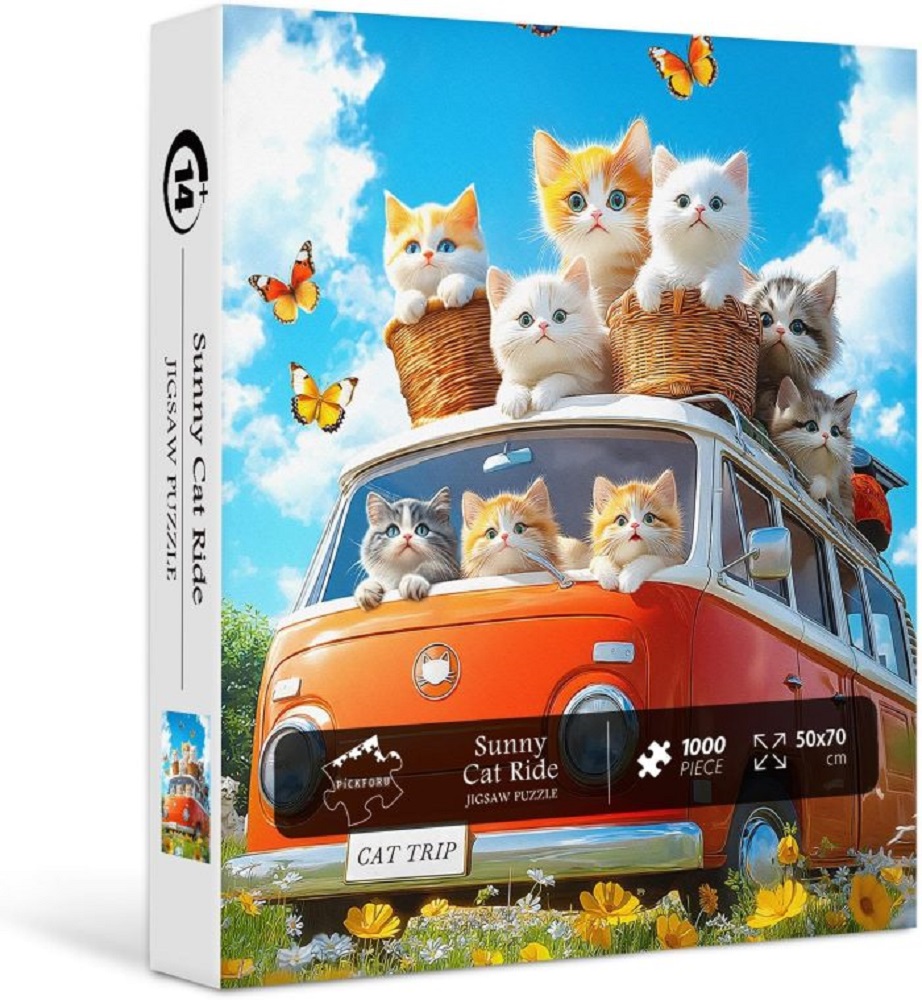 Sunny Cat Ride