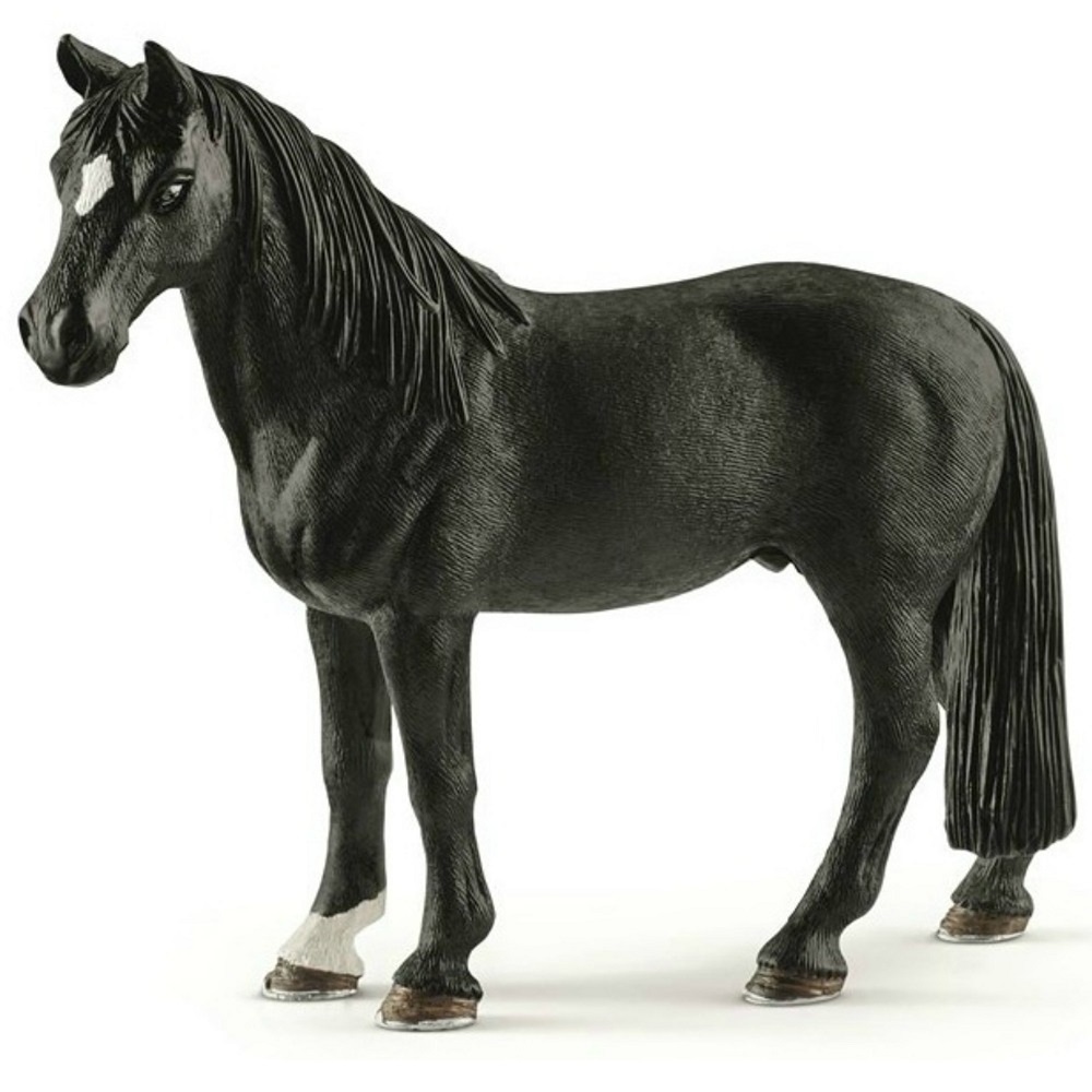 Tennessee Walker Gelding