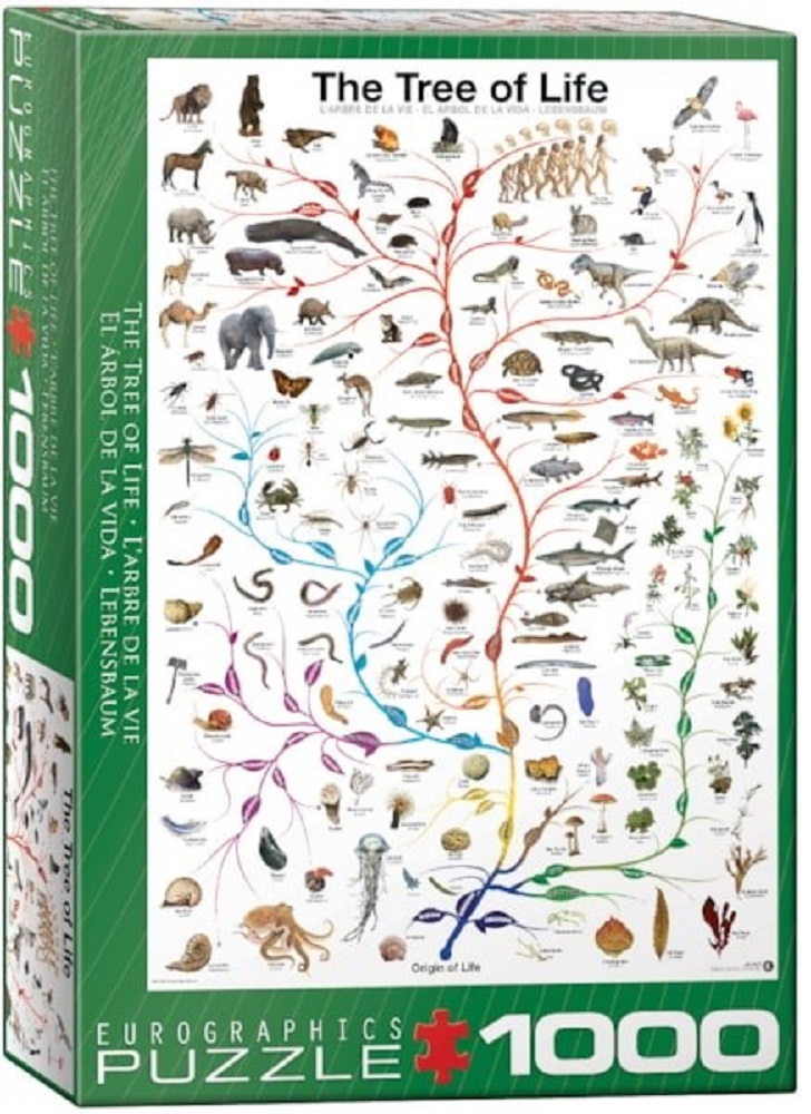 The Tree Of Life 