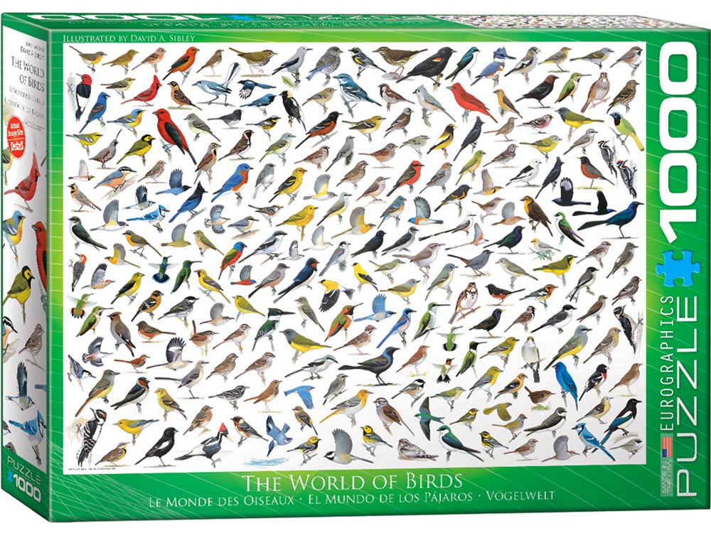 The World Of Birds