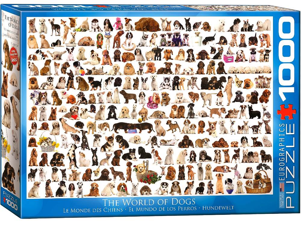 The World Of Dogs
