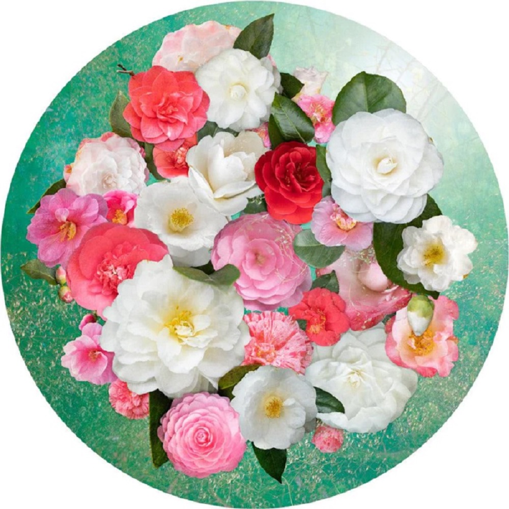 Thirty Three Camelias
