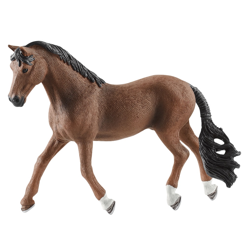 Trakehner Gelding