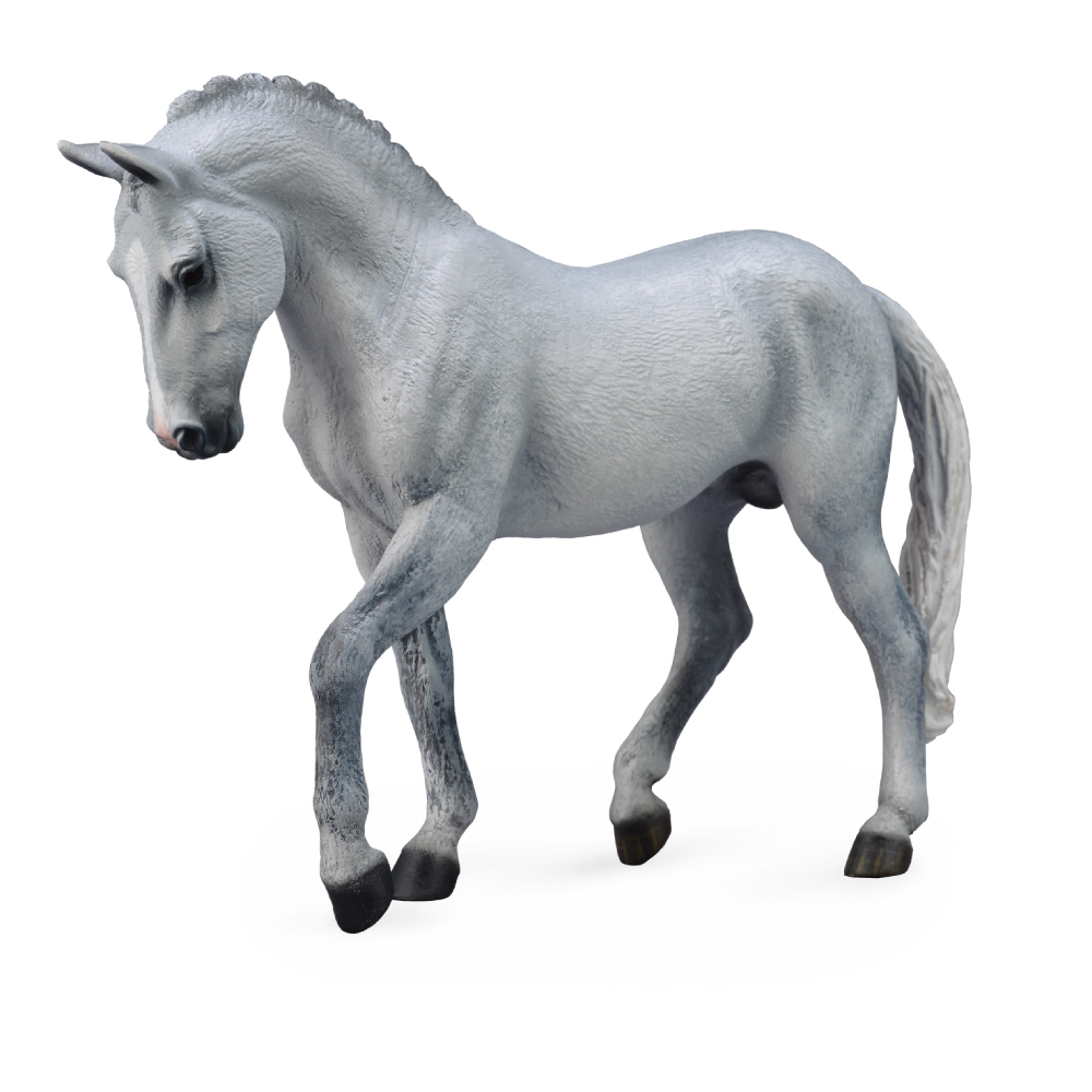 Trakhener Stallion Grey
