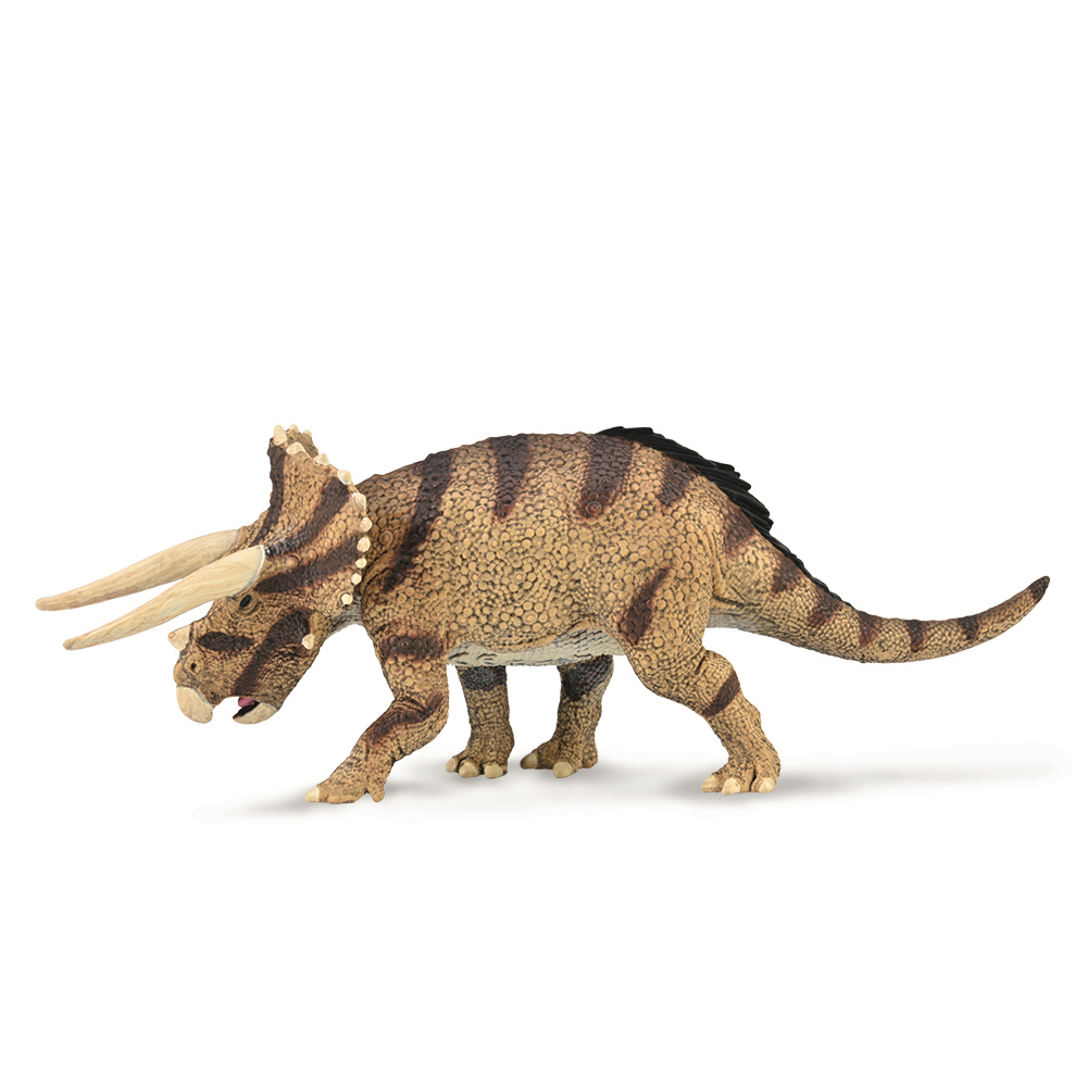 Triceratops Horridus Confronting