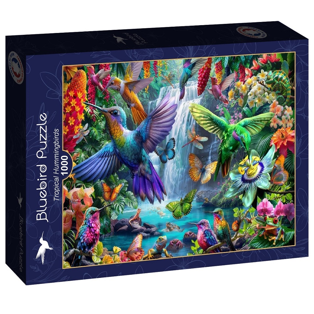 Tropical Hummingbirds 