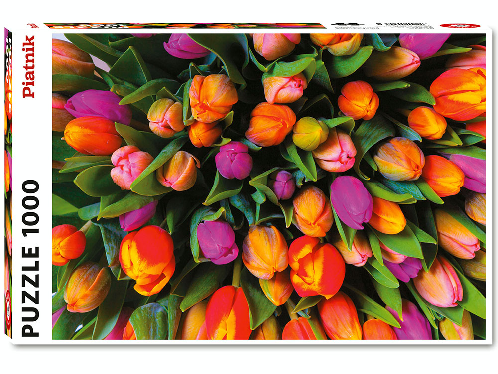 Tulips