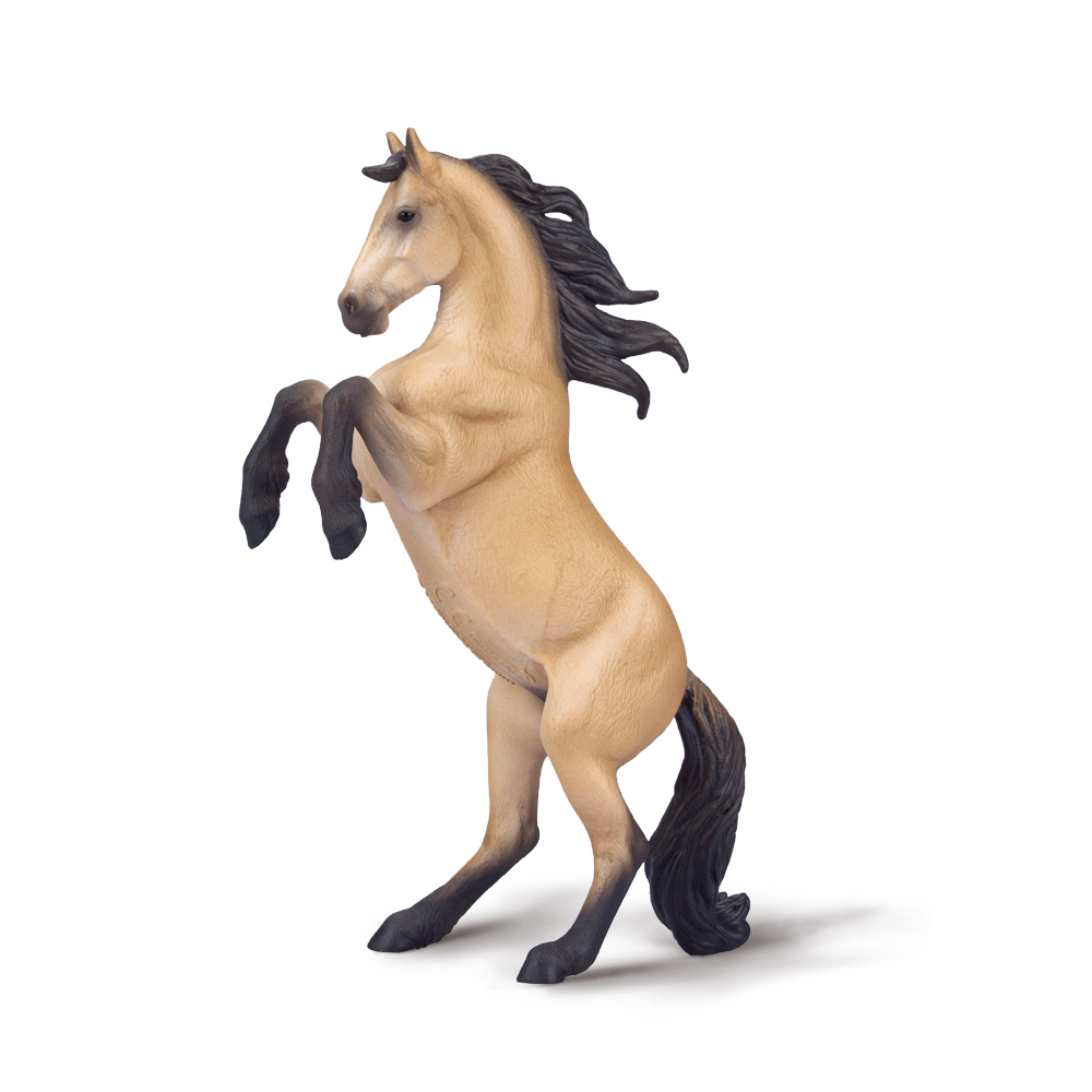 Warlander Mare Rearing Buckskin