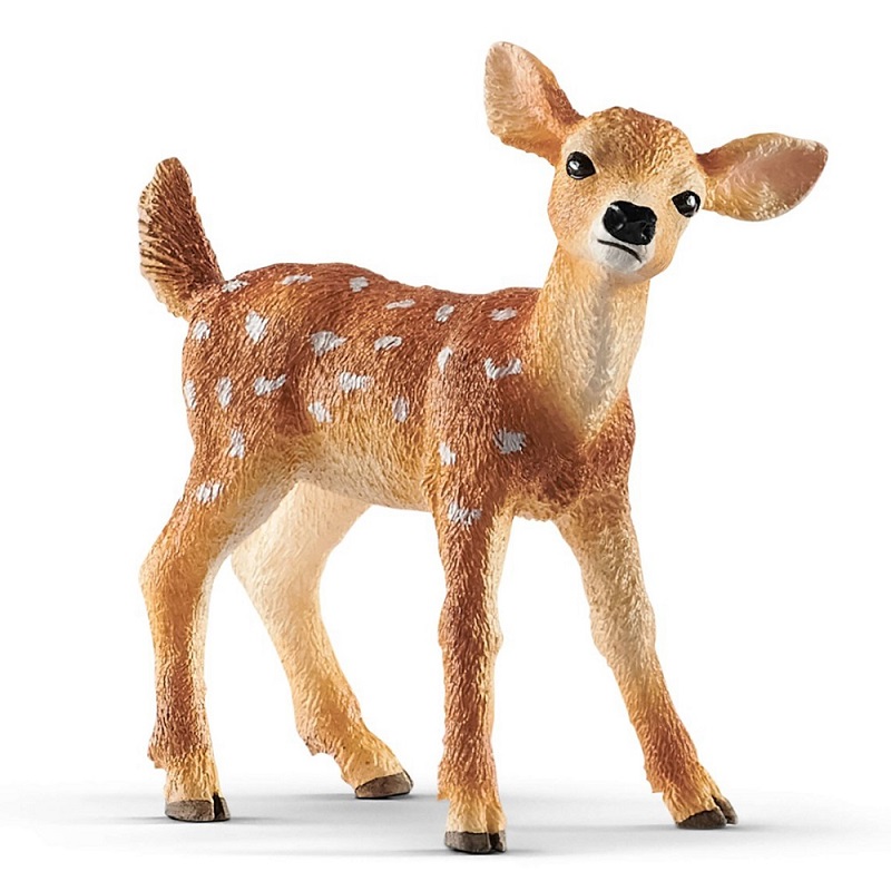 White-Tailed Fawn