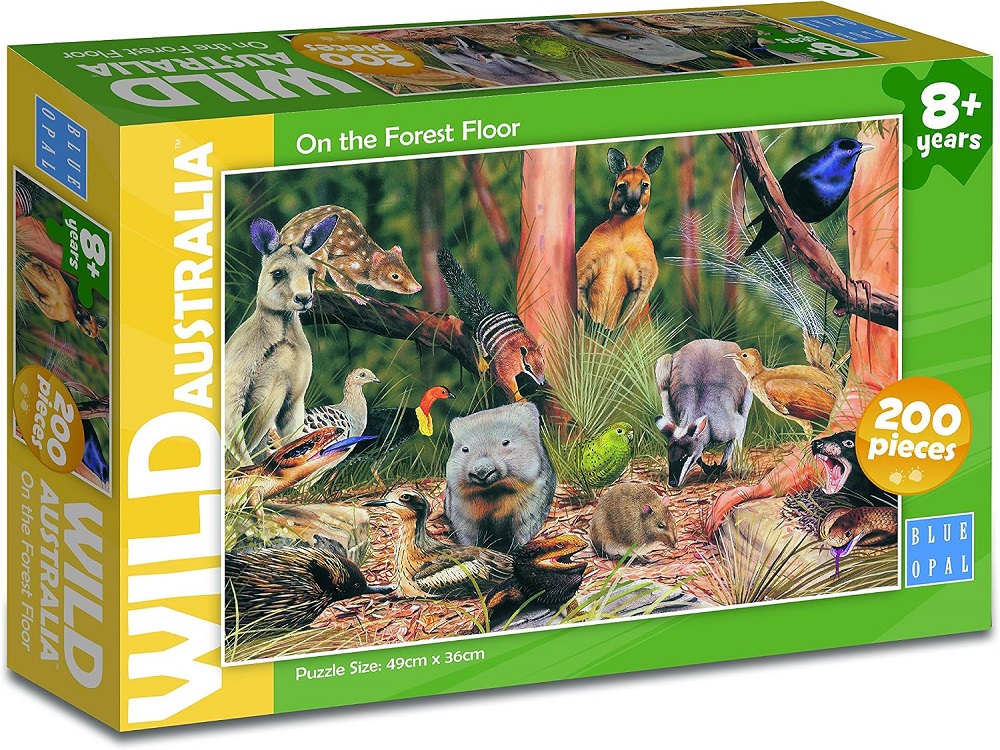 Wild Australia On The Forest Floor