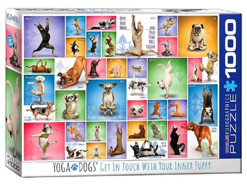 Yoga Dogs