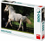 White Horse