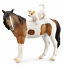 Mare With Terrier