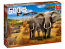 African Savannah