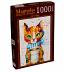 Colourful Cat 