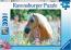 Wildflower Pony