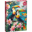 Toucans Paradise