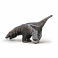 Giant Anteater