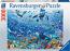 Colourful Underwater World