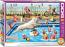 Crazy Pool Day 500XL 