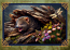 Amanda Neilson - Tassie Devil