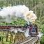 Belgrave Steamers