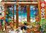 Bird Watchers Window