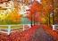 Ken Duncan - Autumn Symphony