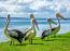 Pelican Cinque