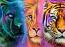 Faces Of Nature Neon Big Cats