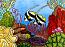 Lyn Randall - Banner Fish 