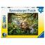 Jungle Wildlife Wonders