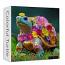 Colourful Turtle