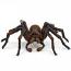 Wizarding World Harry Potter Aragog