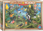 Garden Birds