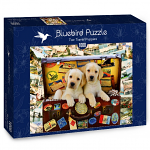 Two Travel Puppies