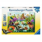 Wonderful World Of Insects