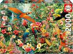 Amazon Birds