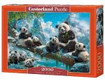 Pandas Winter Fun