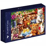 Kittens In The Potting Shed (1)