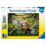 Jungle Wildlife Wonders