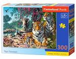 Tiger Sanctuary   