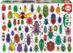 Beetles